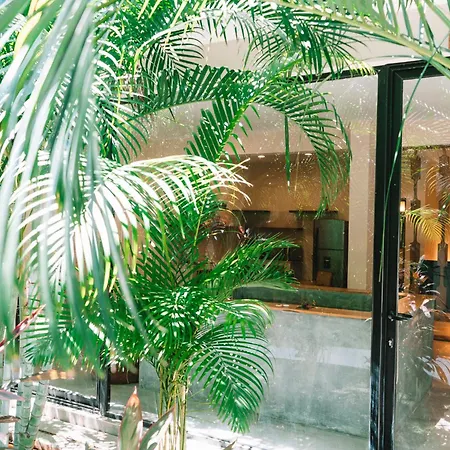 Xp Tulum By Dream Vacay