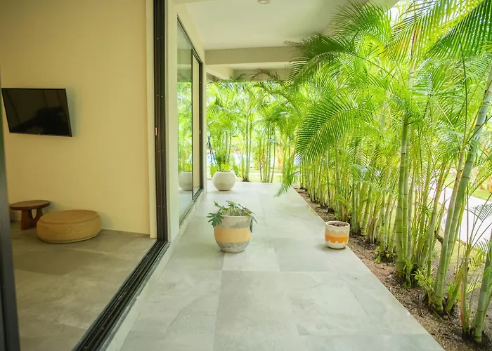 Xp By Dream Vacay Apartahotel